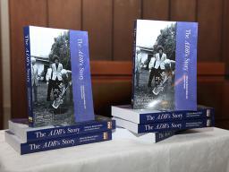 The ADB&#039;s Story, 2013
