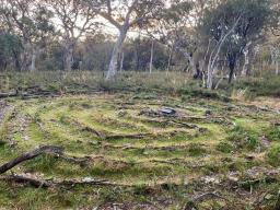 Photograph of the Mt Ainslie Community Labyrinth 