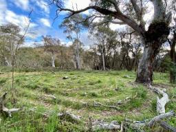 Photograph of the Mt Ainslie Community Labyrinth