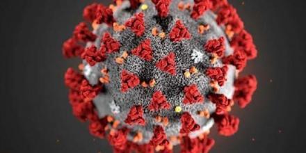 &#039;Pandemics and the Deep Human Past&#039;: Deep History and Science in Conversation