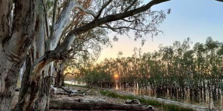 Inaugural Robin-Griffiths Environmental History Lecture: Prof. Katie Holmes