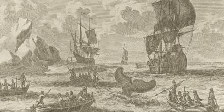 A scene of whalers harpooning a whale in the early 18th century