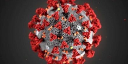 Pandemic Image