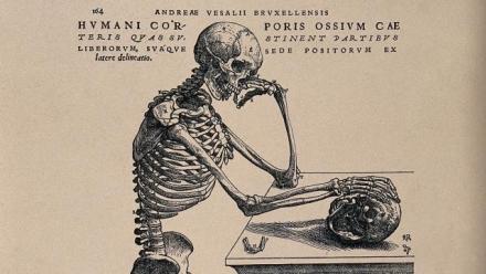 Historians, Bodies and Visual Culture