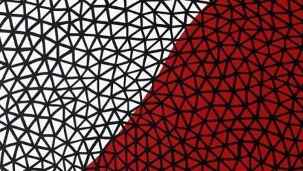 An extract of the painting &#039;djirali muriyira (blood whale)&#039;, by Yuin artist Natalie Bateman