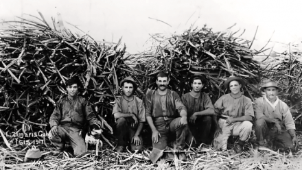 Indigenous Sovereignties, Pacific Mobilities and Mediterranean Diasporas: Towards a Transcultural History of Queensland’s Sugar Districts