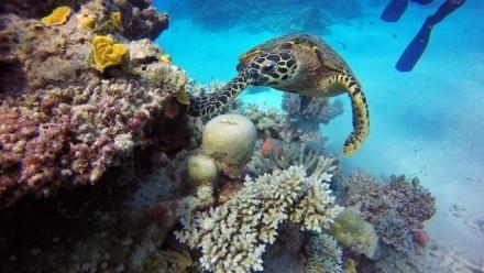Environmental Exchanges: Rohan Lloyd