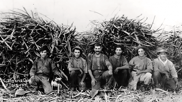 Indigenous Sovereignties, Pacific Mobilities and Mediterranean Diasporas: Towards a Transcultural History of Queensland’s Sugar Districts