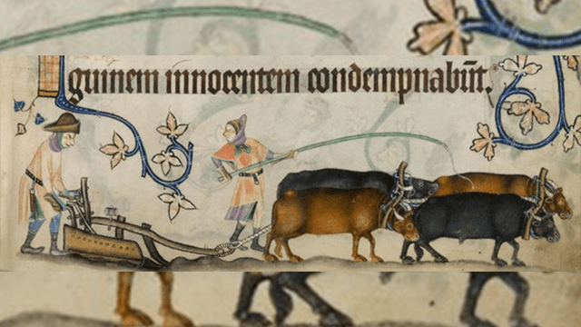 anonymous, "Luttrell Psalter," (Online: Encyclopedia Britannica, 14th Century), public domain