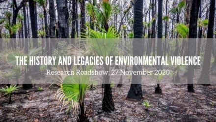 Histories and Legacies of Environmental Violence