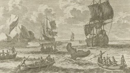 A scene of whalers harpooning a whale in the early 18th century